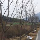 동산1길 이미지