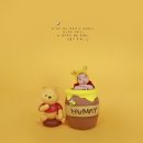 아기곰스튜디오 이미지