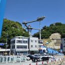 혼자 동해 당일 버스투어 후기｜도째비골 스카이밸리·무릉별유천지 라벤더 축제