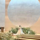 빠바라기 이미지