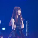 수지큐 Daum카페