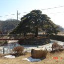 낙화담마을 이미지