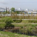 전천시민공원 이미지