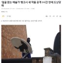 ‘얼굴 없는 예술가’ 뱅크시 새 작품 공개 1시간 만에 도난당해 이미지