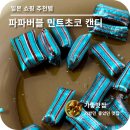 민트파파 이미지