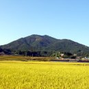 태양이용원 이미지