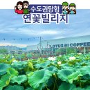즐거운나들이 관광농원 | 서울 근교 양주 연꽃빌리지, 아이와 당일치기 여행 가볼만한곳
