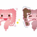 에스소프트 이미지