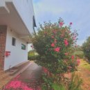 모스트제주 이미지