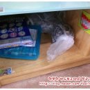 풍산초병설유치원 이미지