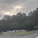 더제이드 | 한화 제이드팰리스GC 명문 골프장 라운딩 후기