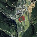 삼창농장 이미지