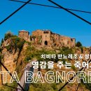 죽어주는 이야기 이미지