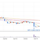 러스코리아 이미지