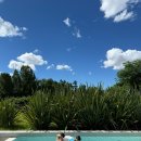 플로어가든01 이미지