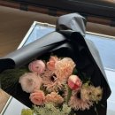 오션스테이 C 이미지