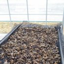 호영농장 이미지