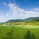 하이원 컨트리클럽 이미지