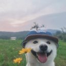 조은광고기업 | [인턴] 미래내일일경험 인턴 후기 2편 (하이테커/광고∙마케팅직무)