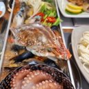 제주 반딧불 이미지