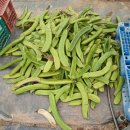 갈마농장 이미지