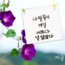 만사형통 이미지