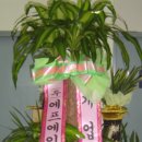 (주)에프에이모스트