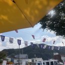 놀러와5 | [놀러와, 삼화토요마켓] 5회차 후기