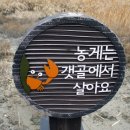 Re:제45차/시흥갯골생태공원(2020.1.2 ) 이미지
