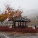 한국의 100대 명산인 선운산(수리봉 336M) 등산 후기(2018. 11. 07.) 이미지