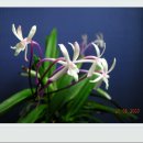 넘버에잇 이미지