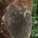 대곡동지석묘군 이미지