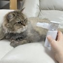 메디빌리프 이미지