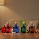 머리향기 | 차량용 방향제 유목민 탈출, 머리 안 아프고 은은한 향기 드디어 찾음 (솔직 후기)