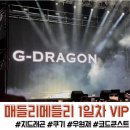 VIP | 매들리메들리 2025 페스티벌 1일차 VIP 관람 후기