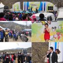 [원적산] 번개산행＜이천백사 산수유꽃축제와 원적산행＞ 이미지