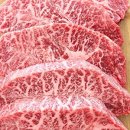 리버벨리 이미지