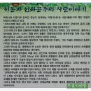 (부여여행) - 궁남지 연꽃 (제16회 부여서동연꽃축제) 이미지