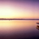 신관용류가야금산조 이미지