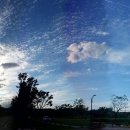 강변체육공원 이미지