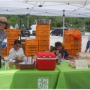 웅골 협동조합 이미지