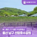 울산 남구 선암호수공원 봄 나들이 가기 좋은 무궁화동산