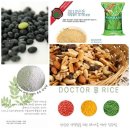 코코블루