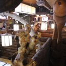 정으로사는세상을 이미지