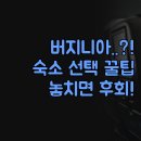 호텔 버지니아 | 버지니아 여행 필수 정보 | 아포맷톡스 호텔 &amp; 비앤비 | 실제 경험 비교 분석 | 숙소 선택 팁 A to Z