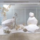 소금꽃정원 이미지