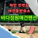 이마트24 태안코아루점 | 충남 태안 안면도 애견동반 바다정원애견펜션ㅣ무한리필바베큐 가성비 숙소