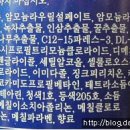 려마트