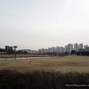 온천칼국수쭈꾸미 이미지