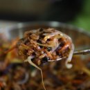 산호동236 이미지